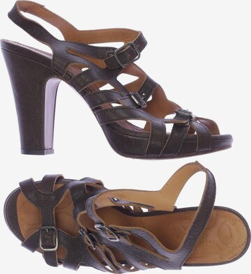 Chie Mihara Sandals & High-Heeled Sandals in 38 in Brown: front