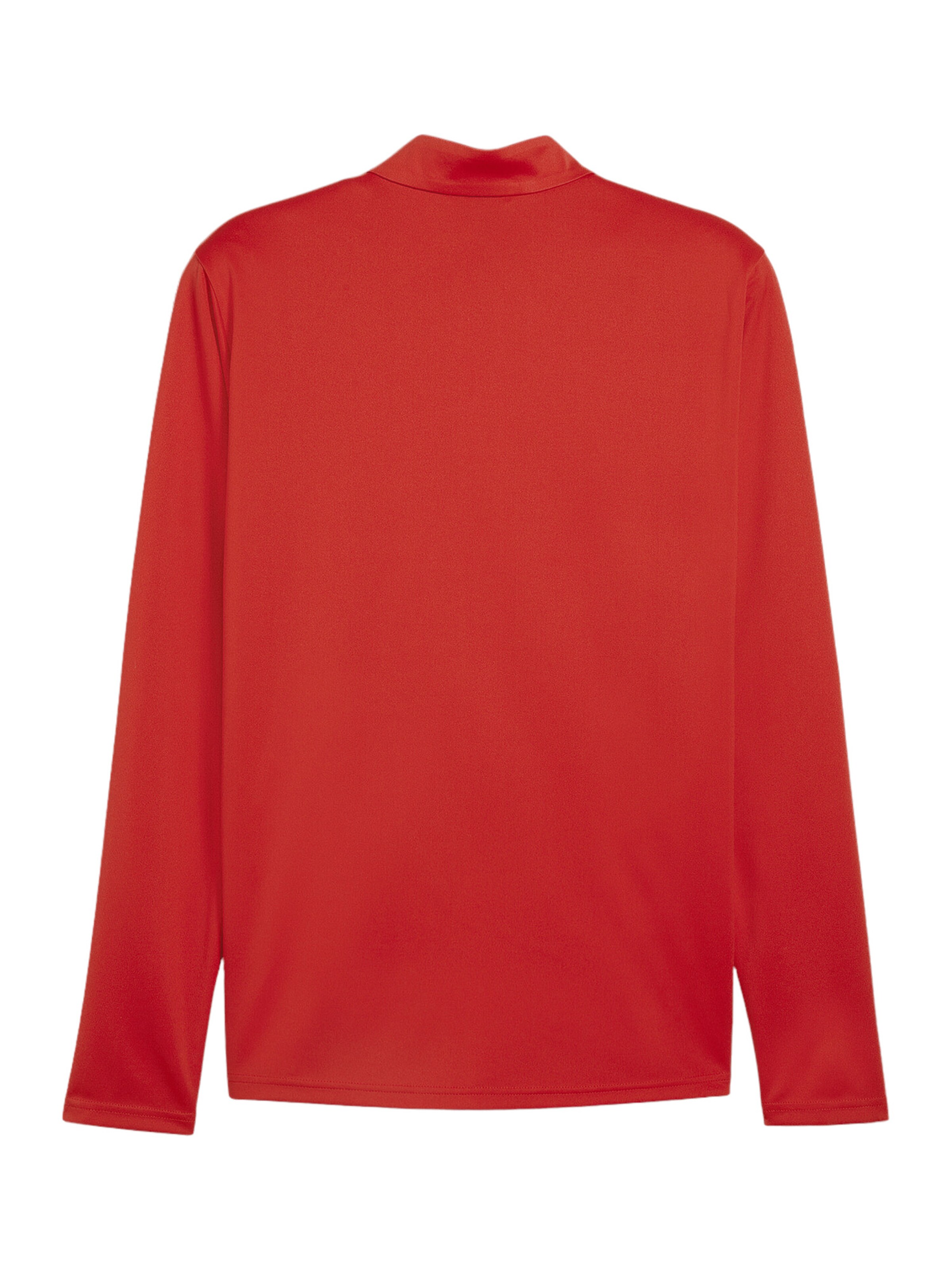 PUMA Funktionsshirt 'TeamGoal' in Rot