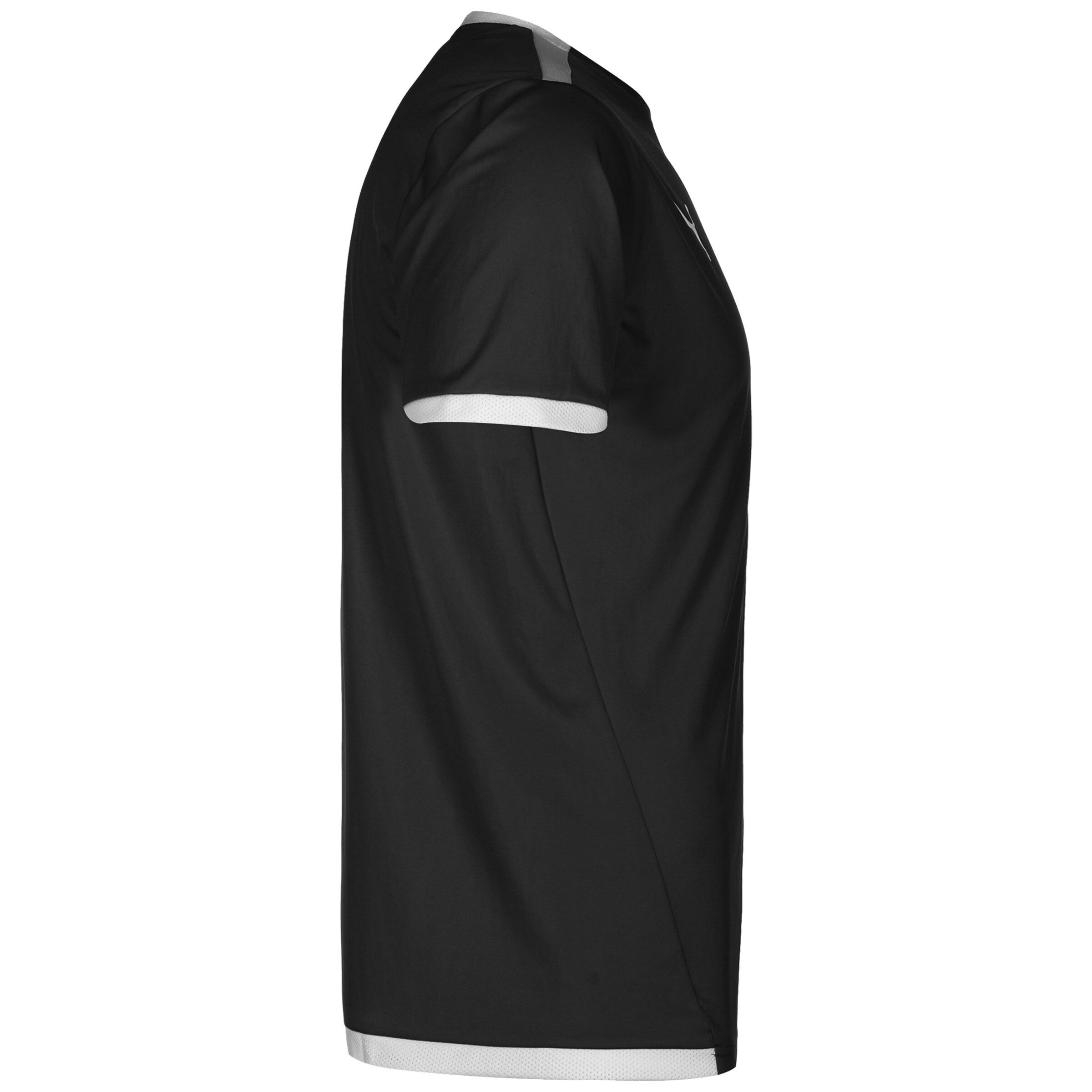 PUMA Funktionsshirt 'TeamLiga' in Schwarz