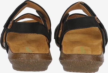 EL NATURALISTA Sandalen met riem in Zwart