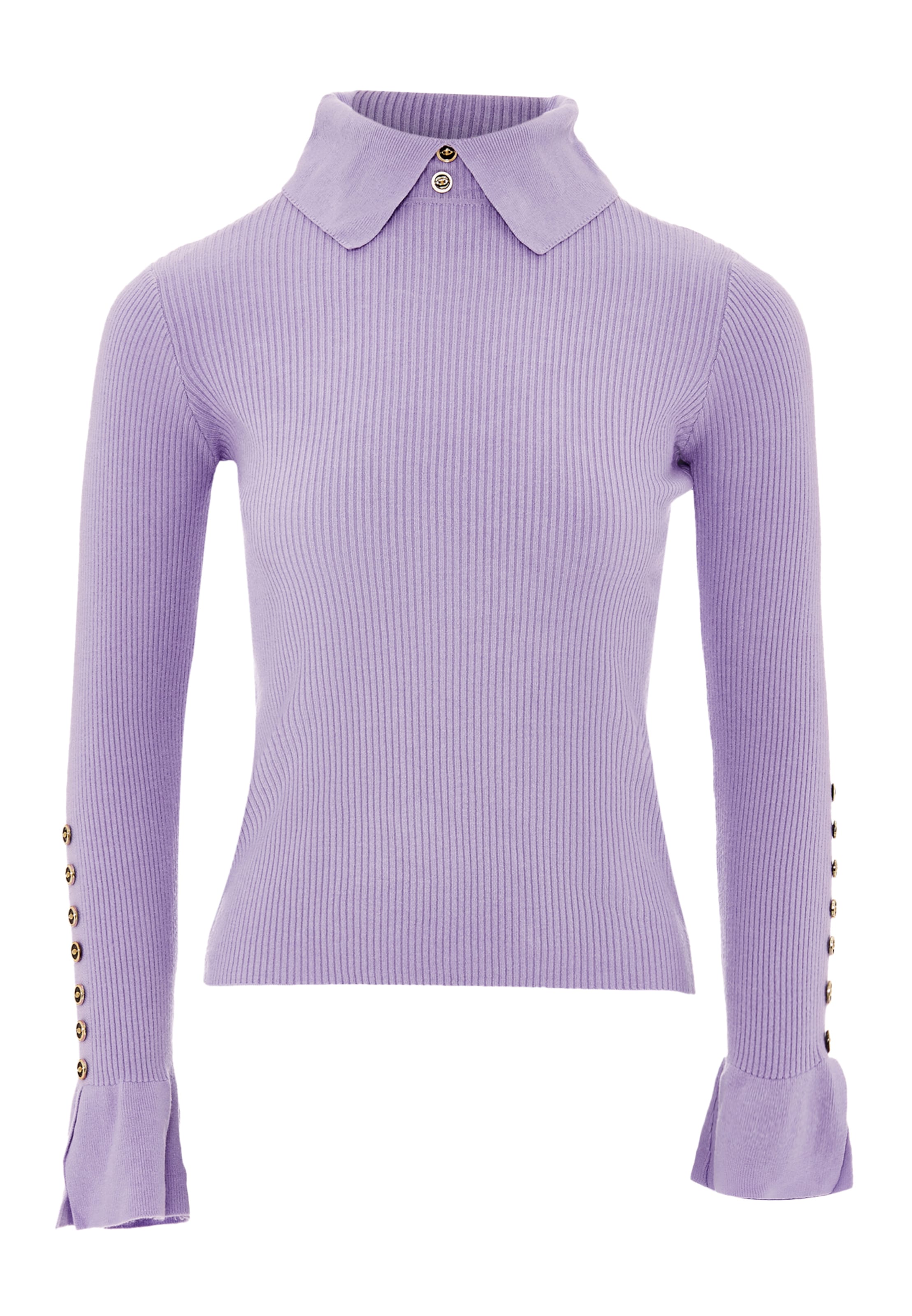 caissa Sweater in Purple: front