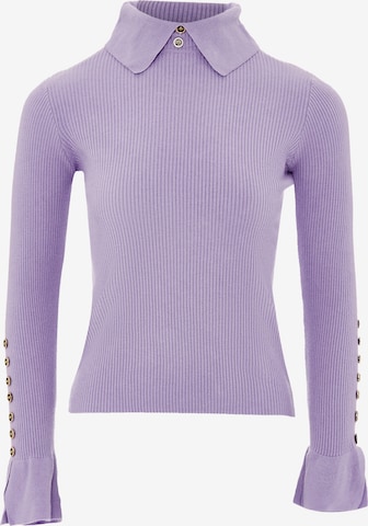 caissa Sweater in Purple: front