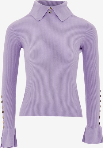 Pull-over caissa en violet : devant