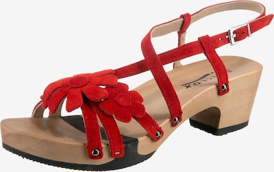 SOFTCLOX Riemensandale 'Kascha' in rot, Produktansicht