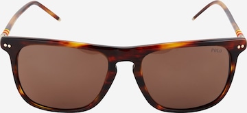 Polo Ralph Lauren Sunglasses in Brown