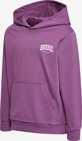 Sweat 'Fast' Hummel en violet