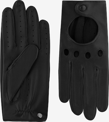 Gants 'ROM AUTOFAHRER' Roeckl en noir : devant