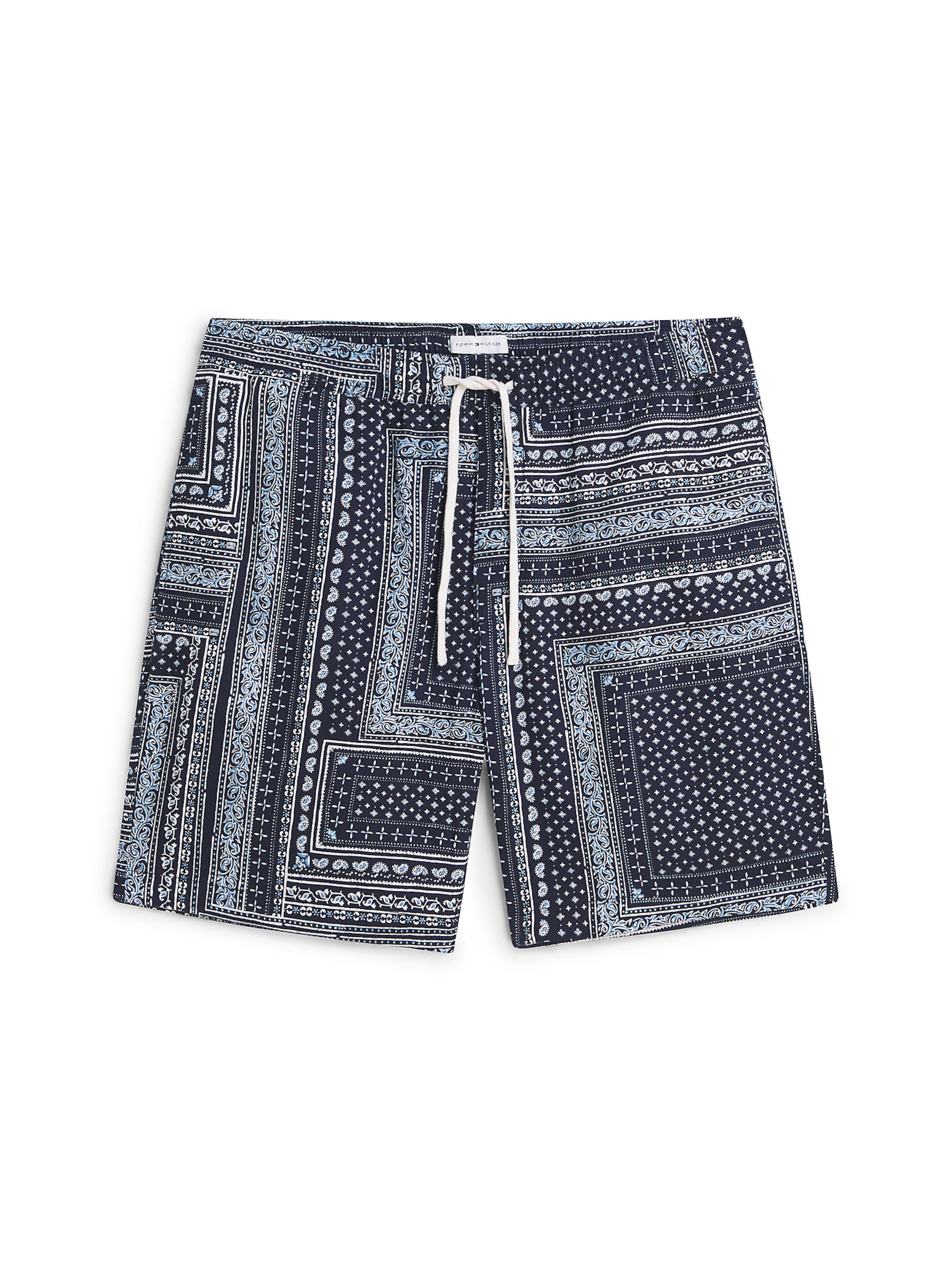 TOMMY HILFIGER Regular Trousers 'Dover' in Blue: front