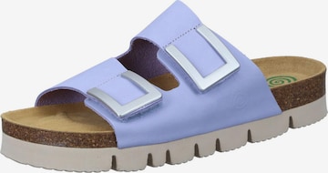 DR. BRINKMANN Pantolette 'BONILLO' in Lila: Vorderseite