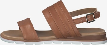 MARCO TOZZI Sandals in Brown