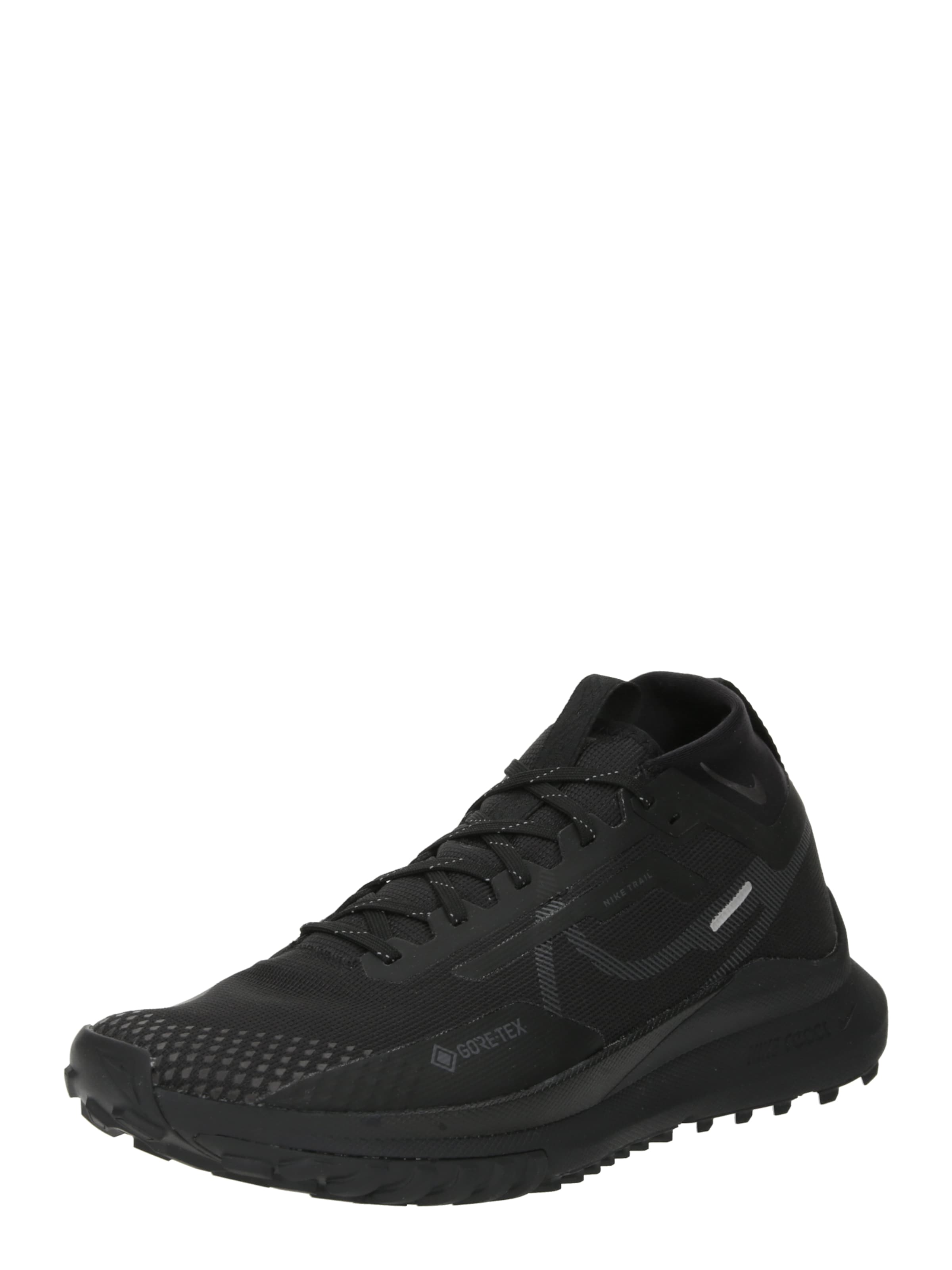 nike pegasus 360 trail