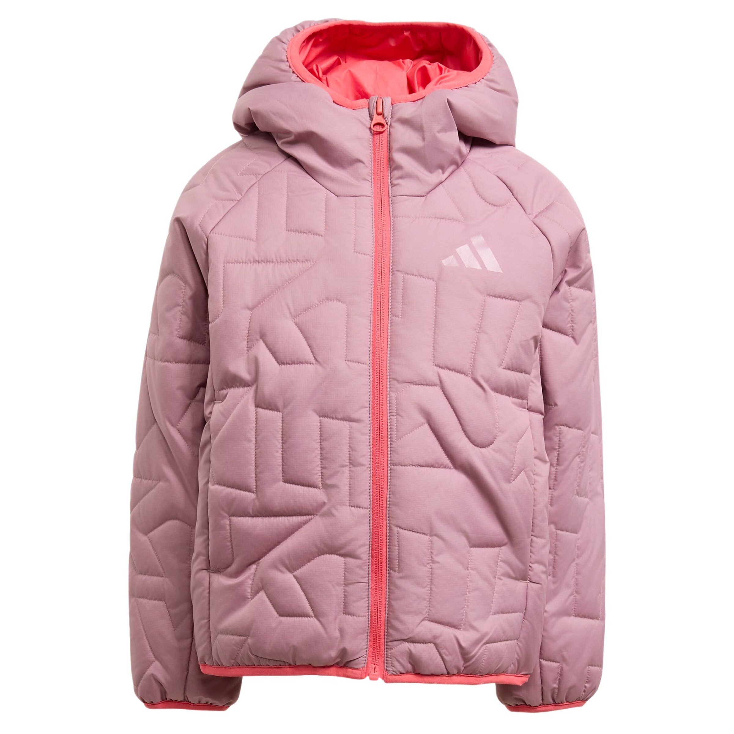 ADIDAS TERREX Outdoor jacket 'Xperior' in Purple: front