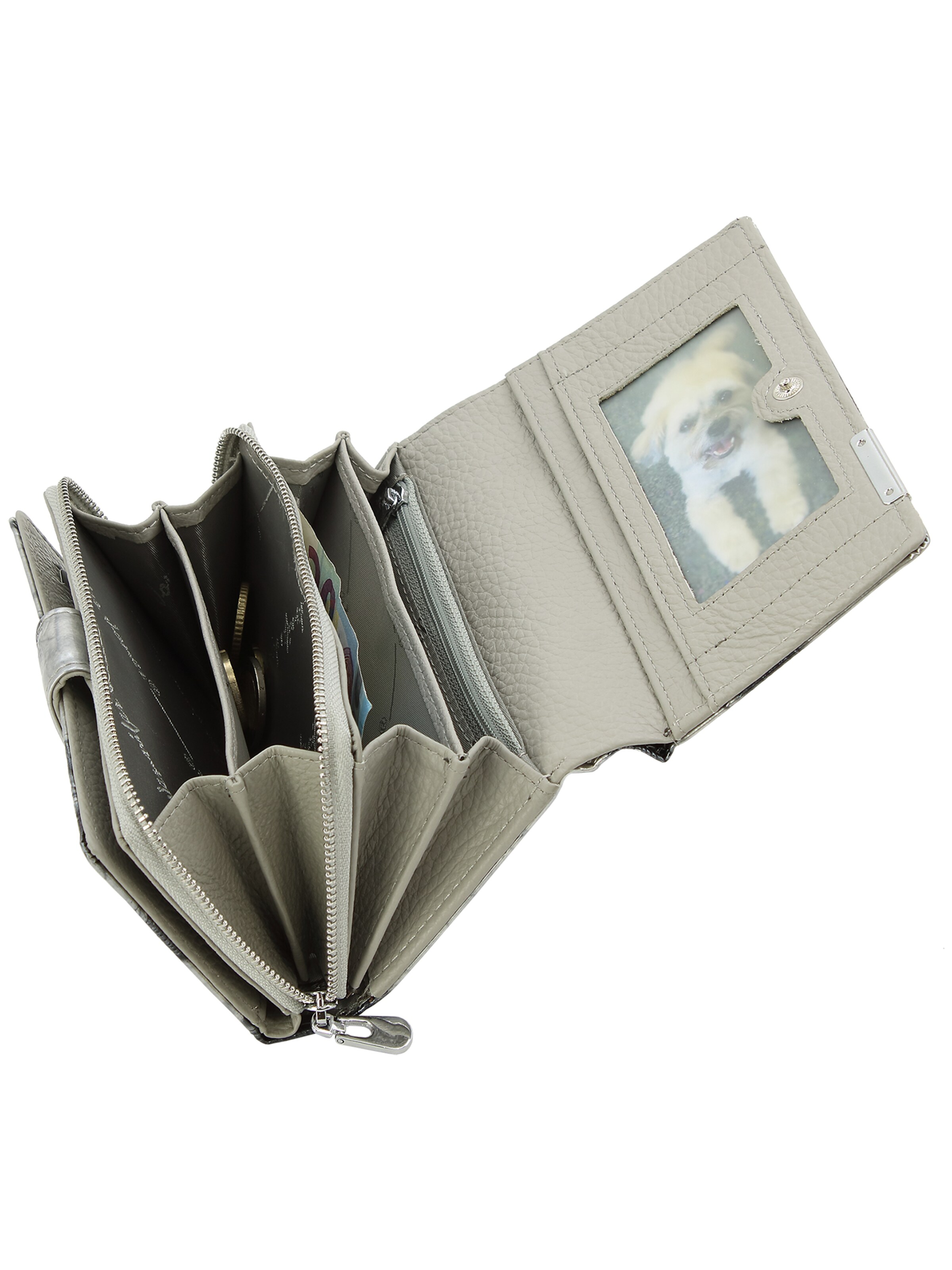 Jennifer Jones Wallet in Silver