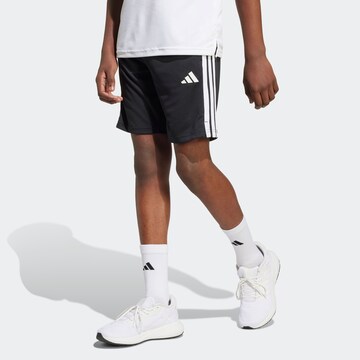 ADIDAS SPORTSWEAR Обычный Спортивные штаны 'Essentials' в Черный: спереди