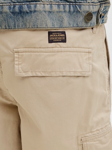 JACK & JONES Regular Cargo Pants 'JPSTCOLE FRANK' in Brown