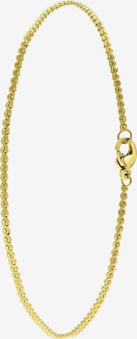 Lucardi Voetsieraden in Goud: voorkant