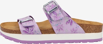 COSMOS COMFORT Pantolette in Lila: front