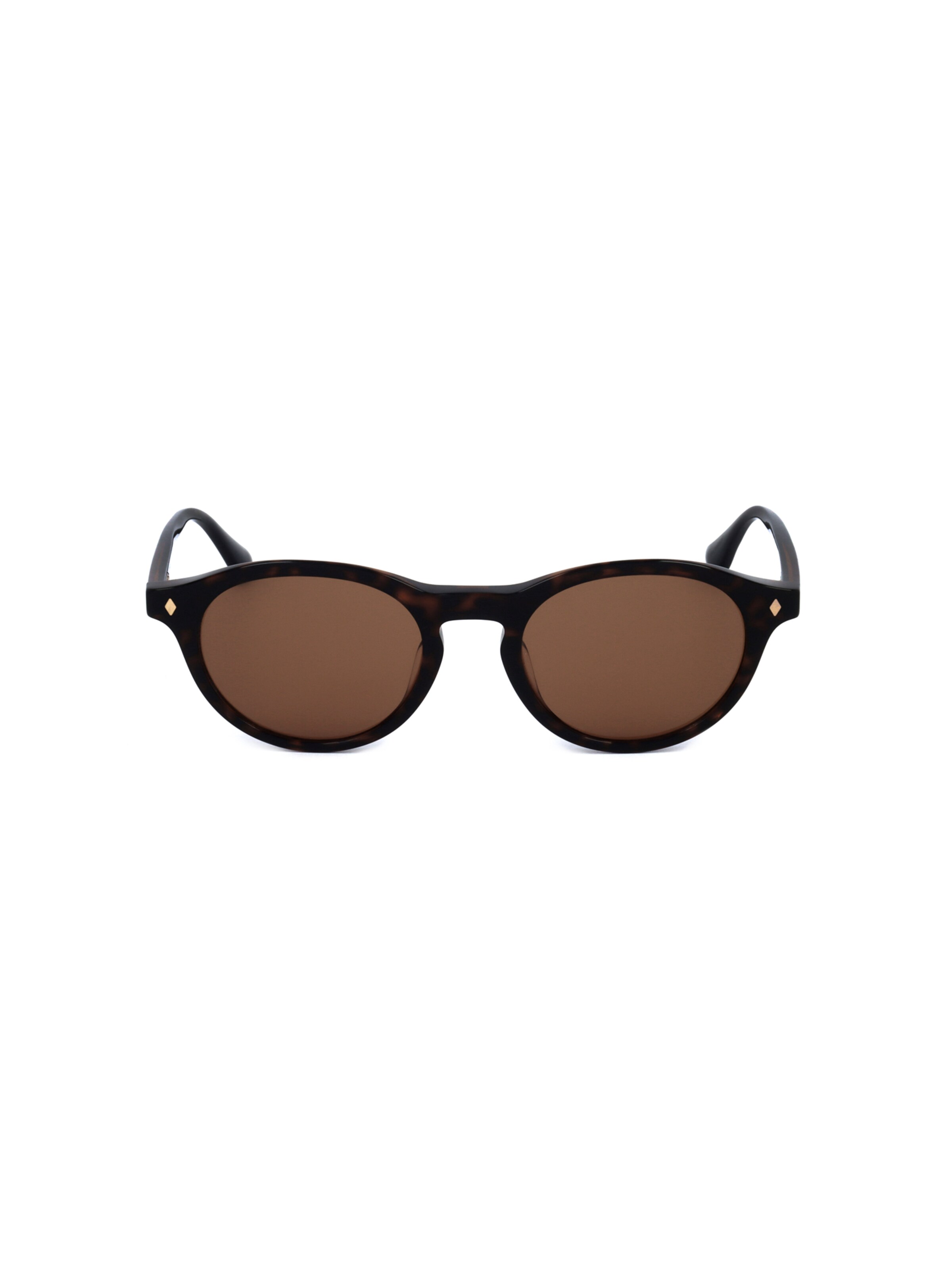 Occhiali da sole 'WE0337' di Web Eyewear in marrone: frontale