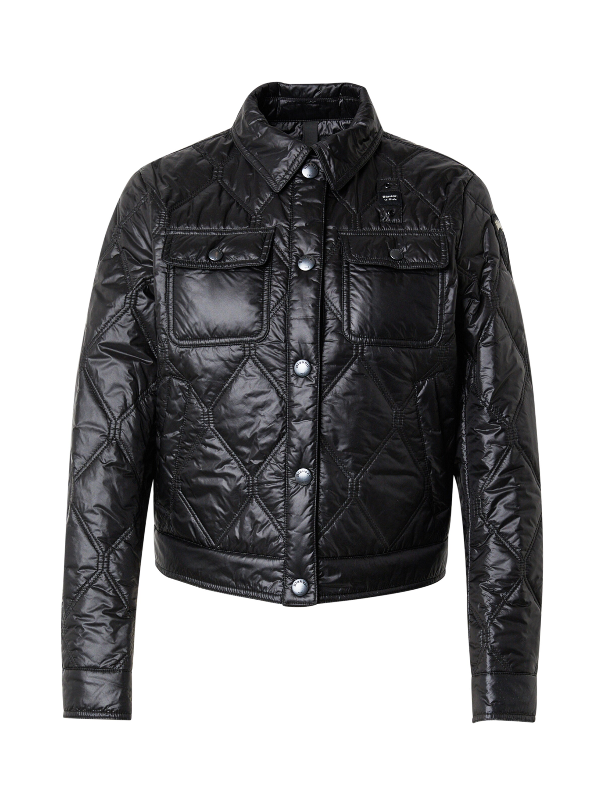 Giacca di mezza stagione 'DELHI' di Blauer.USA in nero: frontale