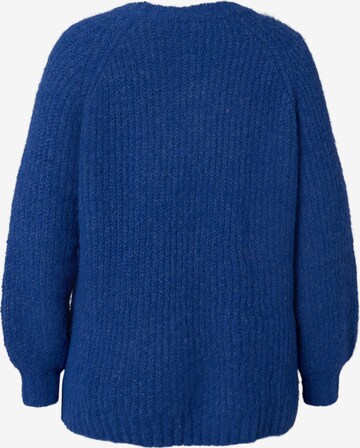 Zizzi Sweater 'FRENCH' in Blue