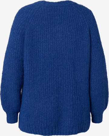 Zizzi Sweater 'FRENCH' in Blue