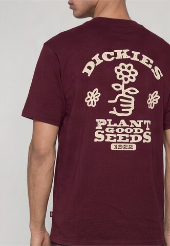 Maglietta 'GOOD SEEDS' di DICKIES in rosso: dietro