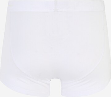 Marc O'Polo Boxer shorts in White