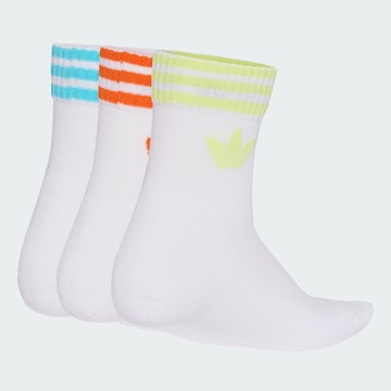 Calzino di ADIDAS ORIGINALS in bianco