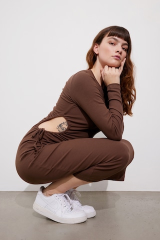 Envii Dress 'Ally' in Brown