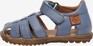 NATURINO Open shoes 'SEE' in Blue: front