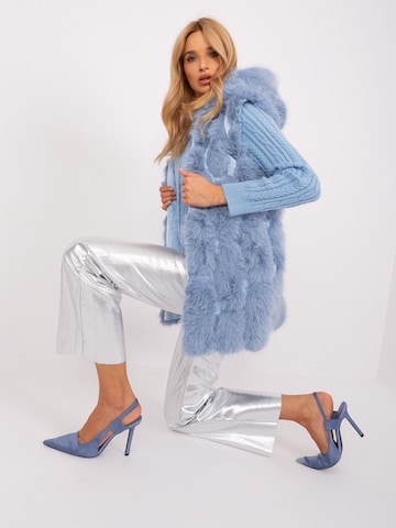 Madnezz House Weste in Blau