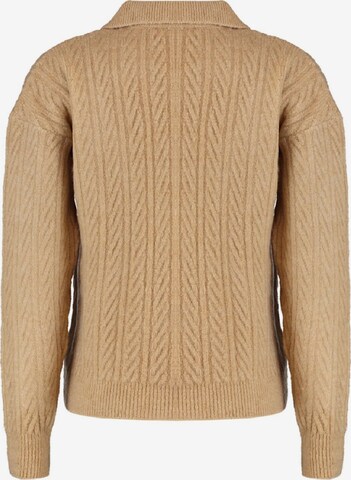 Pullover di Trendyol in marrone