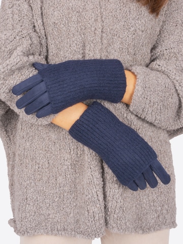 Seasons of April Full Finger Gloves in Blue: front