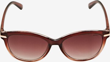 Lunettes de soleil ESPRIT en marron : devant