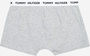 Tommy Hilfiger Underwear regular Underbukser i blå