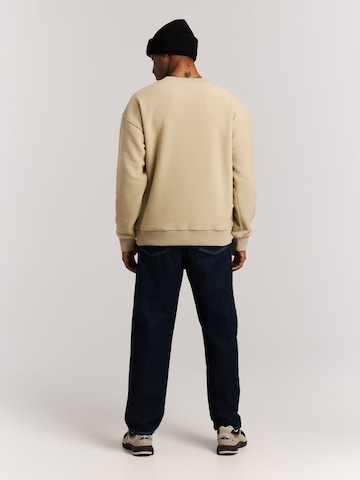 PROTEST Pullover 'PRTHawks'‌‌‌‌‌‌‌‌ in Braun