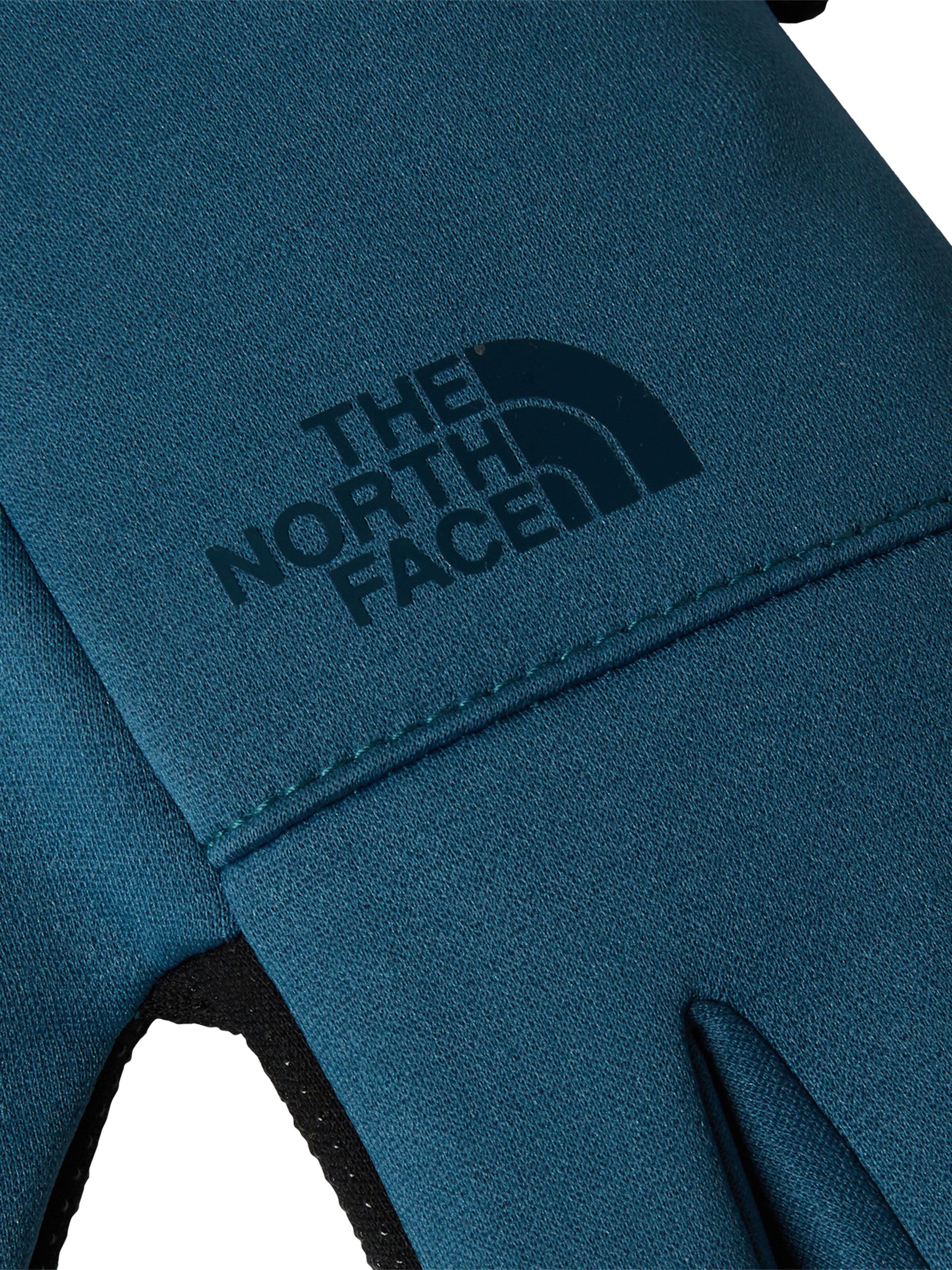 Mănuşi cu degete de la THE NORTH FACE pe albastru