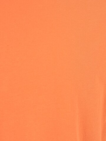 Coupe regular T-Shirt 'Thilo' DRYKORN en orange