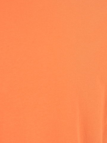 Coupe regular T-Shirt 'Thilo' DRYKORN en orange