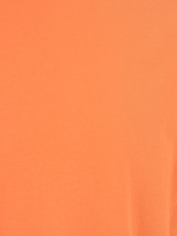 DRYKORN - Ajuste regular Camiseta 'Thilo' en naranja