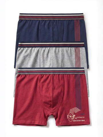 ÖTS Bielizna 'ÖTS Herren Boxer Briefs' w kolorze mieszane kolory: przód