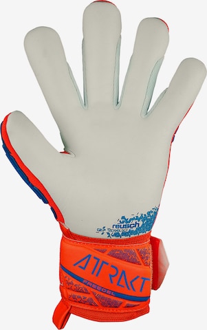 REUSCH Sporthandschuhe 'Attrakt Freegel' in Orange