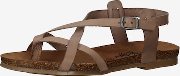 COSMOS COMFORT Sandalen met riem in Beige: voorkant