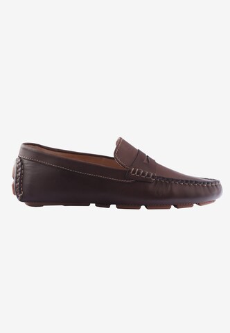 D.MoRo Shoes Classic Flats 'Farcar' in Brown