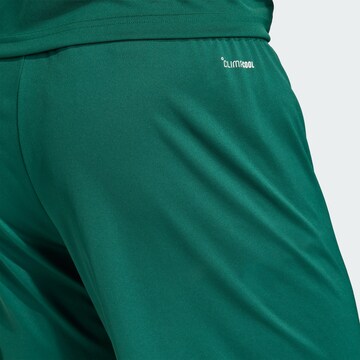 ADIDAS PERFORMANCE Regular Sports trousers 'ENT26' in Green