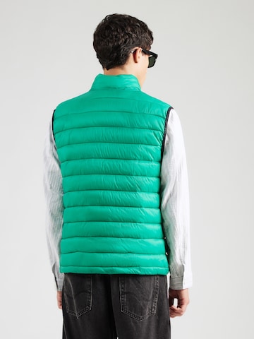 Karl Lagerfeld Γιλέκο σε πράσινο: πίσω