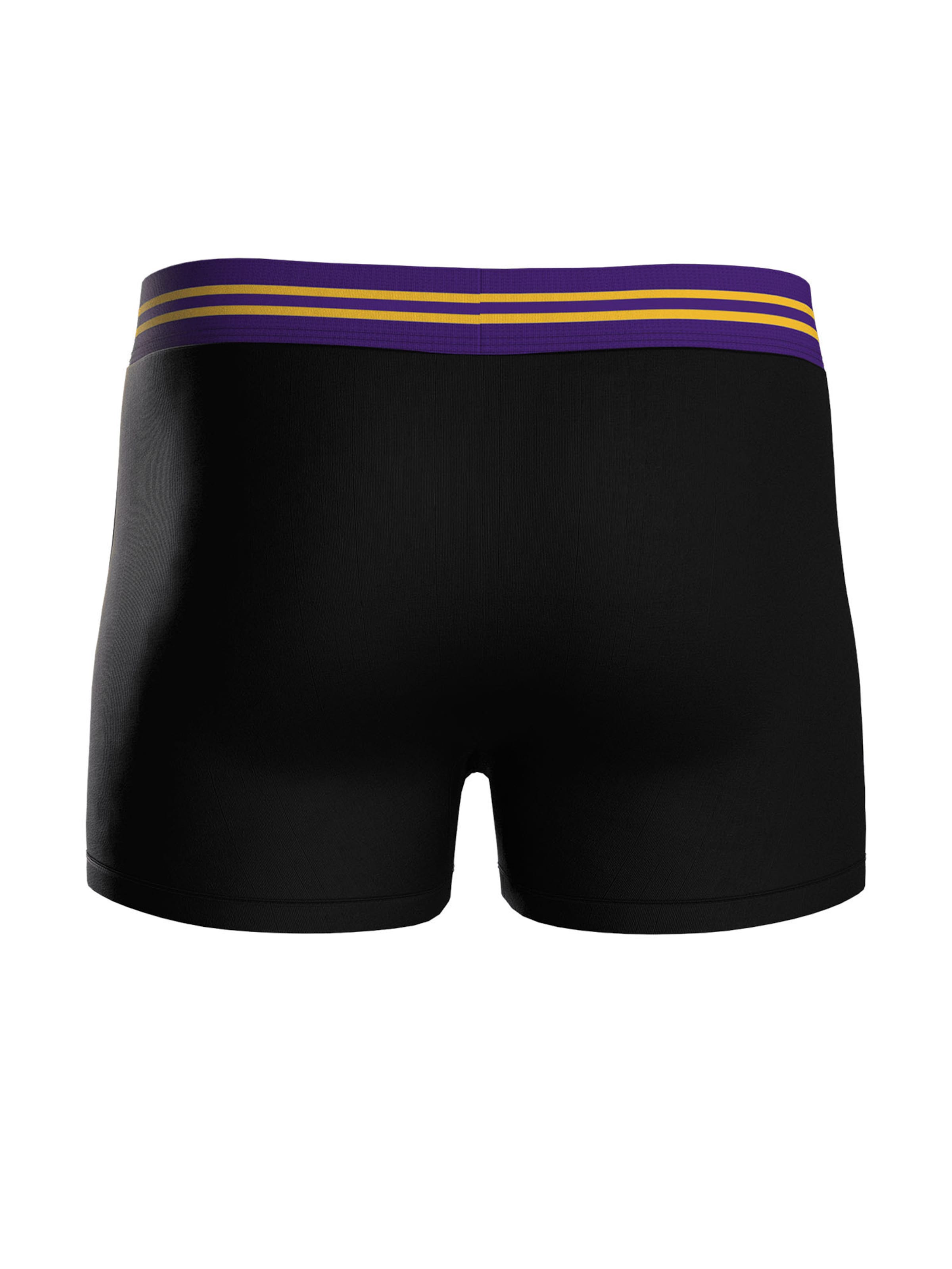 Huddle Boxershorts 'Minnesota Vikings' in Zwart