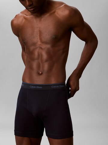 Calvin Klein Underwear Boxer shorts 'Classics' in Mixed colours