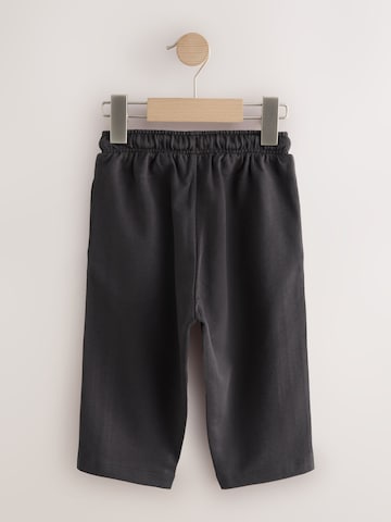 Next Wide Leg Hose in Grau