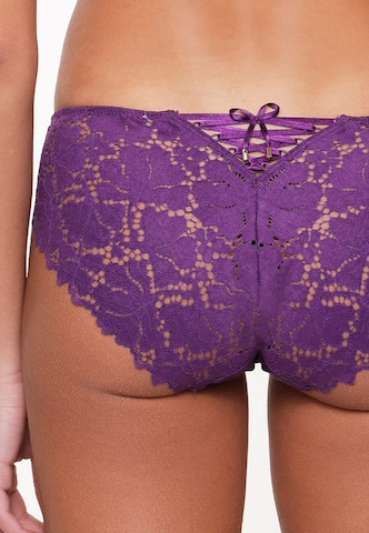 LingaDore Panty in Purple